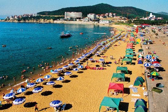 83